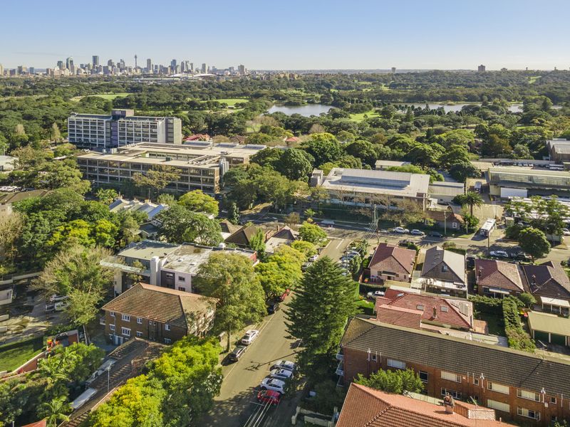 Aerial view of a leafy suburb with the city skyline behind